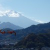 世界遺産と無形文化遺産の違い