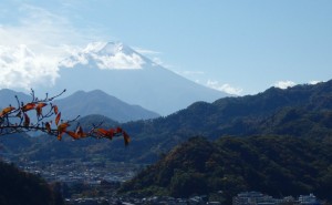 Mt. Fuji